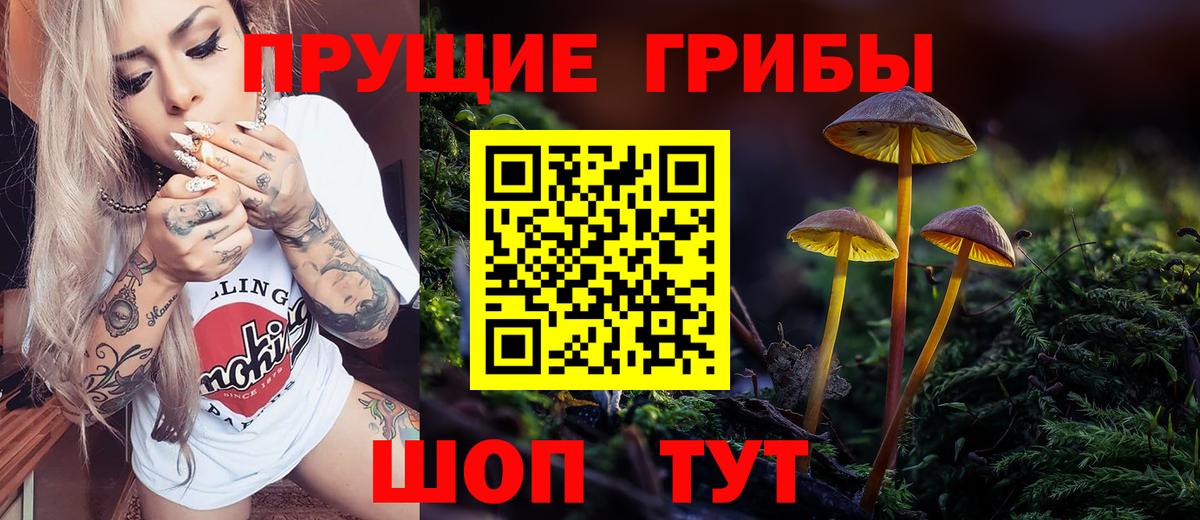 Галлюциногенные грибы Psilocybine cubensis  Вход с VPN  Галлюциногенные грибы MAGIC MUSHROOMS  Нарьян-Мар 