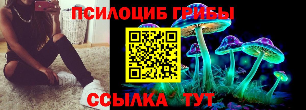 Псилоцибиновые грибы Psilocybe Нарьян-Мар